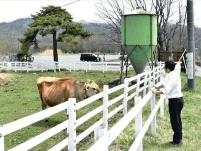 乳牛の放牧場所 新設