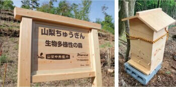 「山梨ちゅうぎん生物多様性の森」での生物多様性保全活動を開始