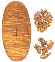 金銀貨幣の写真