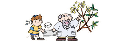 みつまたを使うイメージ