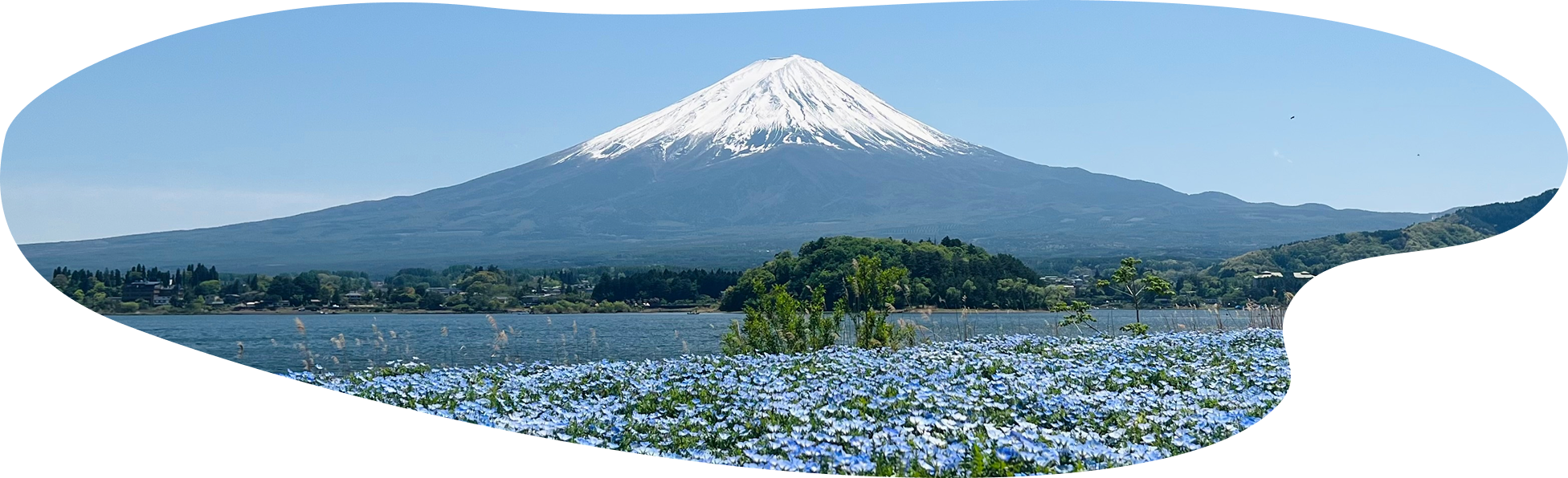 富士山