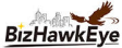 BizHawkEye_logo.png