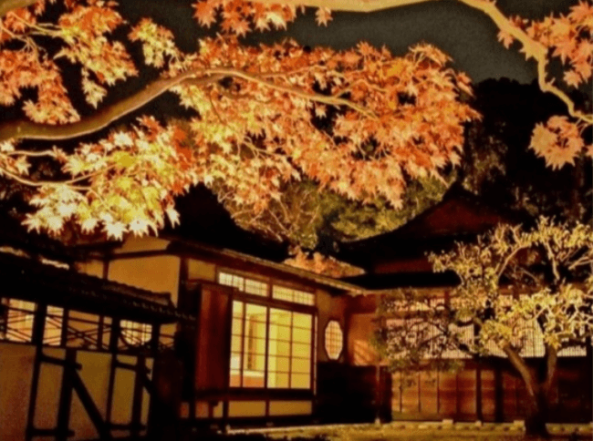 山梨・根津記念館　木々と日本家屋 心静かに