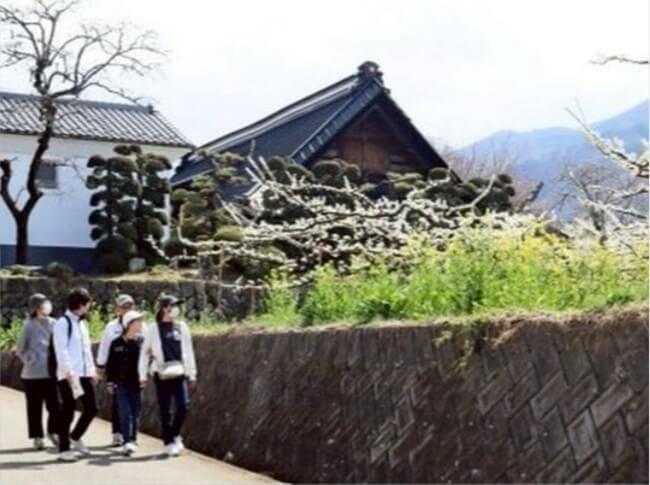 花々を楽しみウオーキング
