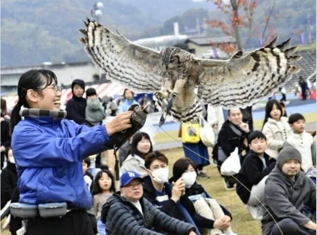 猛禽類のショー、家族連れ見入る