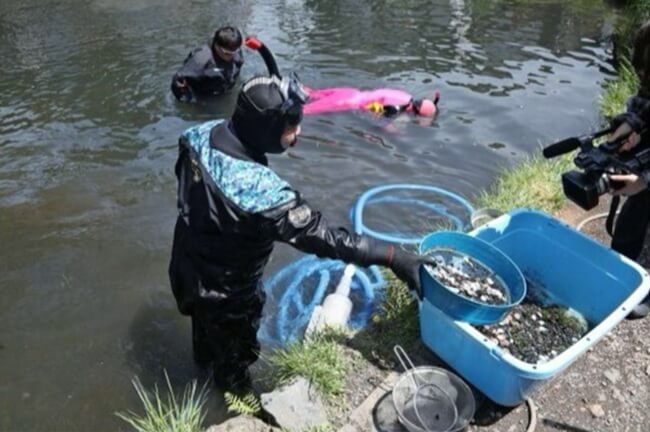 湧池の硬貨ダイバー回収 忍野八海