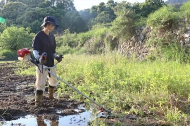 耕作放棄地活用し自然農法 甲府市の大木さん 高齢化進む地域盛り上げ