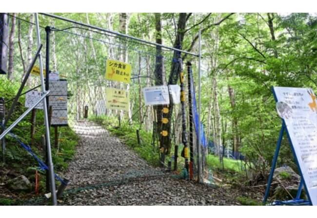 スズラン保護へネット設置 笛吹市芦川町観光協など シカ食害防止開花期待