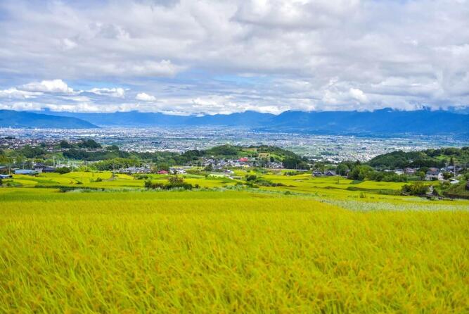 endemic disease_03-thumb-667xauto-33934.jpg