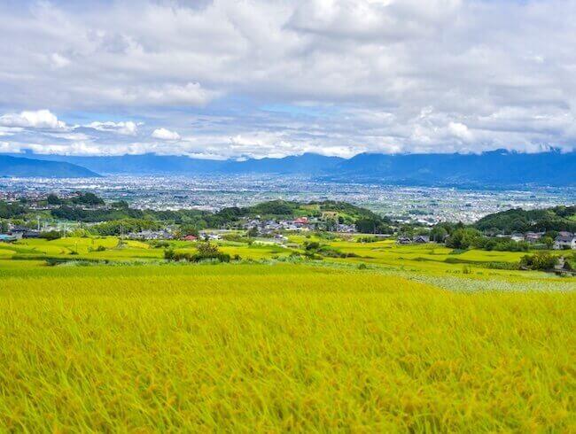 風土病ってなに？～日本で一番有名なのは山梨の「地方病」