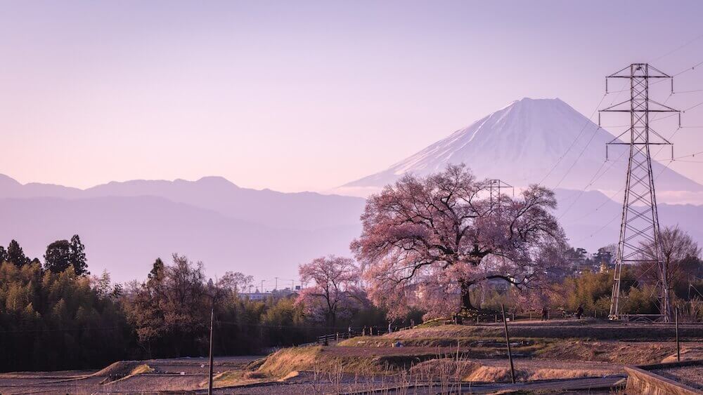 fujisanspot5_05.jpg