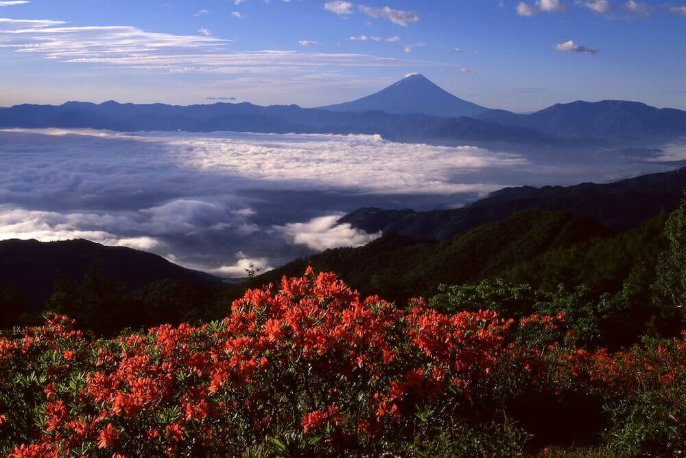 fujisanspot5_06.jpg