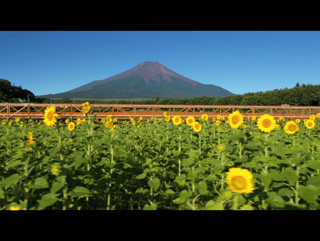 インターネット富士山支店ホームページ動画（2023年　富士山春夏ver.）