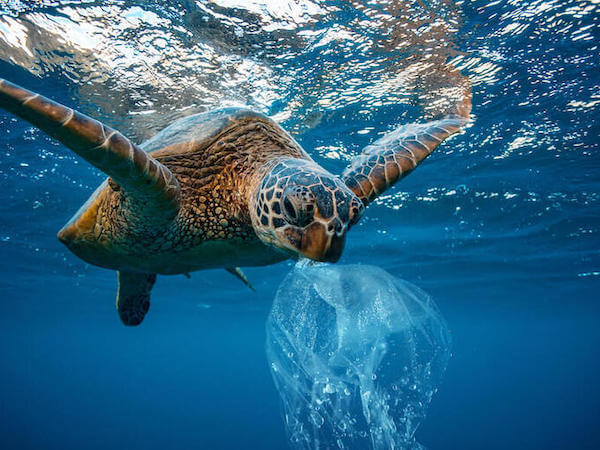 microplastic_thumbnail