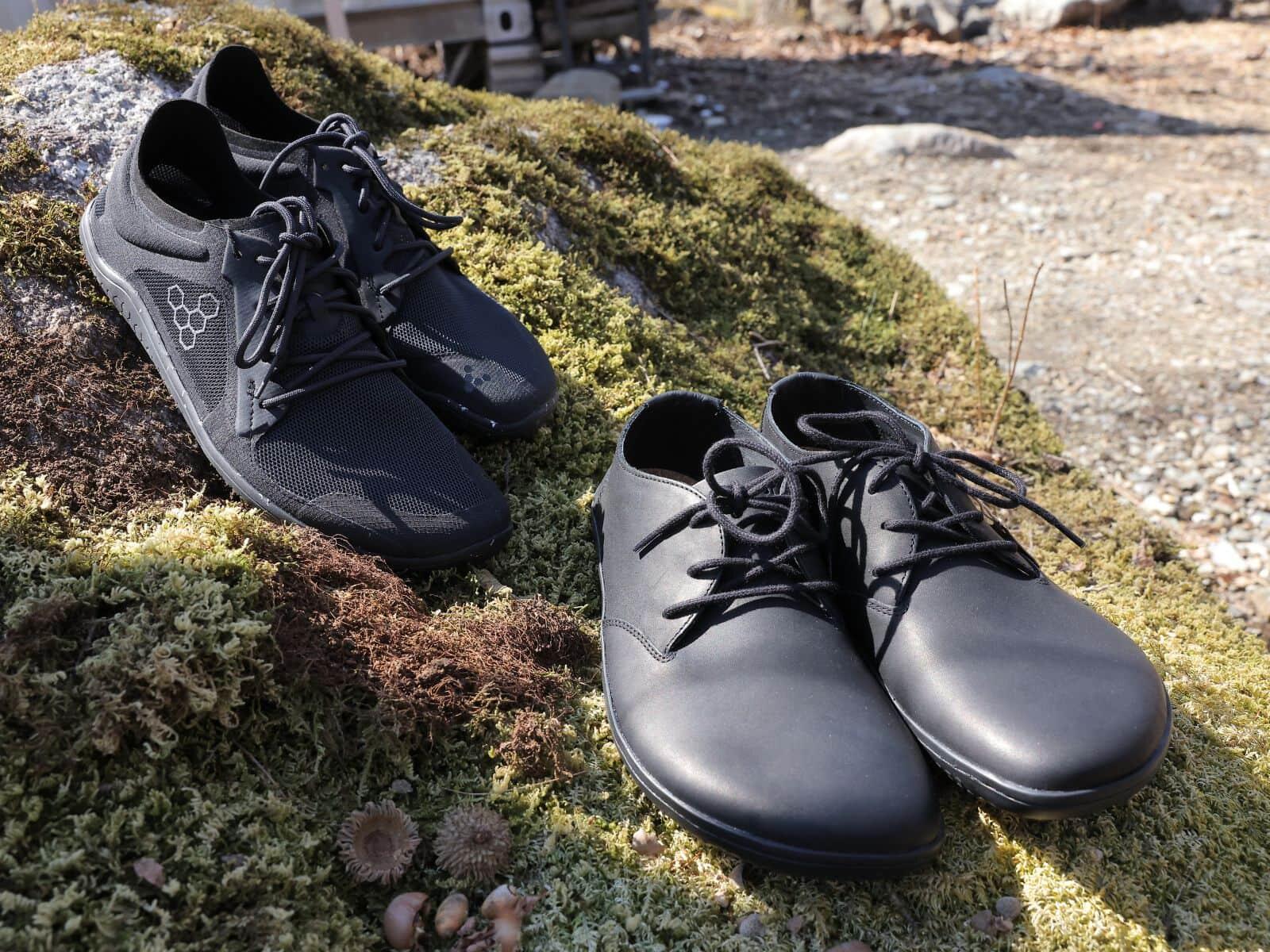 rots_of_the_flower_05