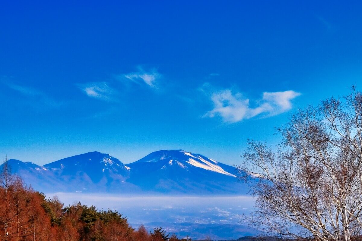santai-houkai_04
