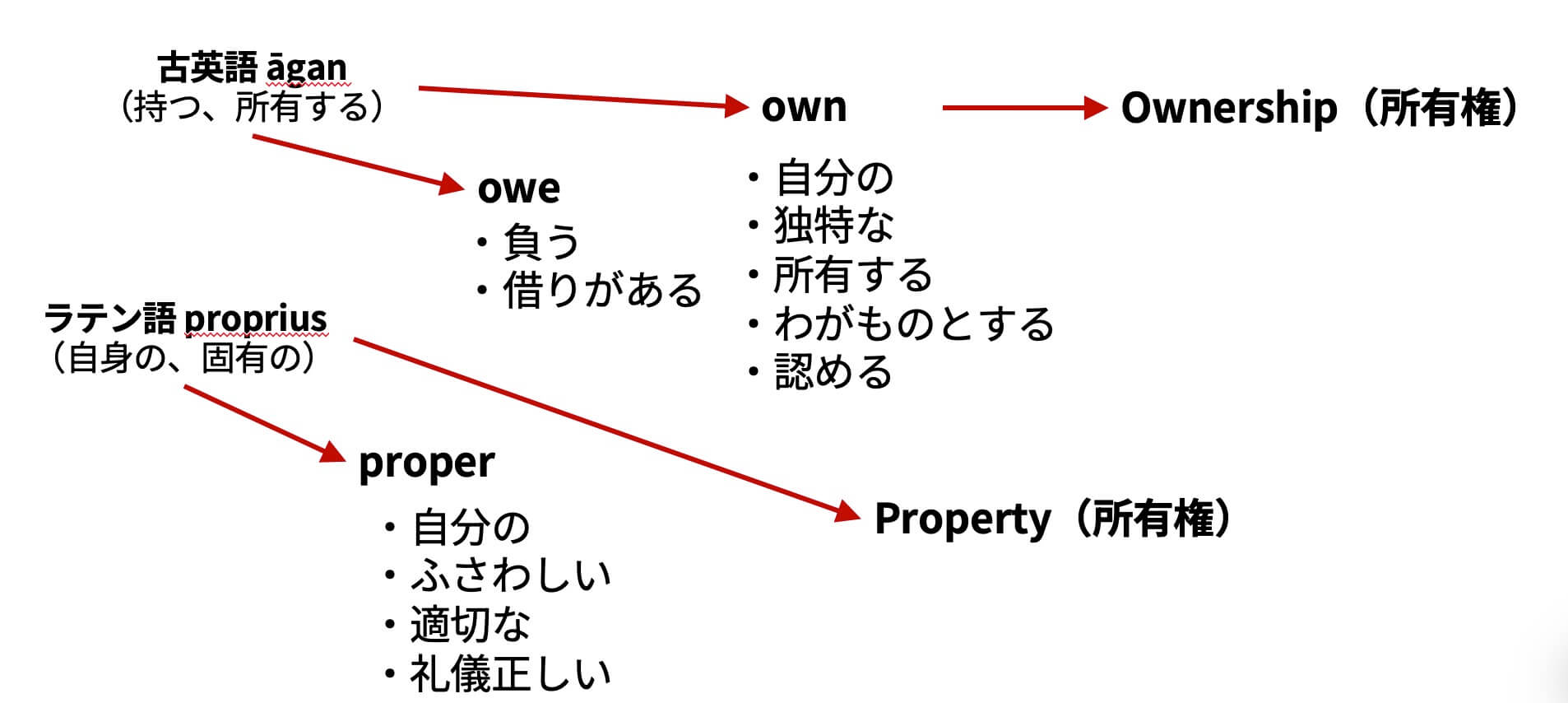 shoyuuken_01.jpg