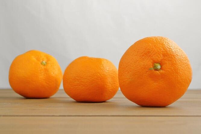 surreal_04.jpgのサムネイル画像