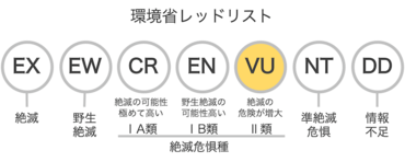 キタダケソウはVU
