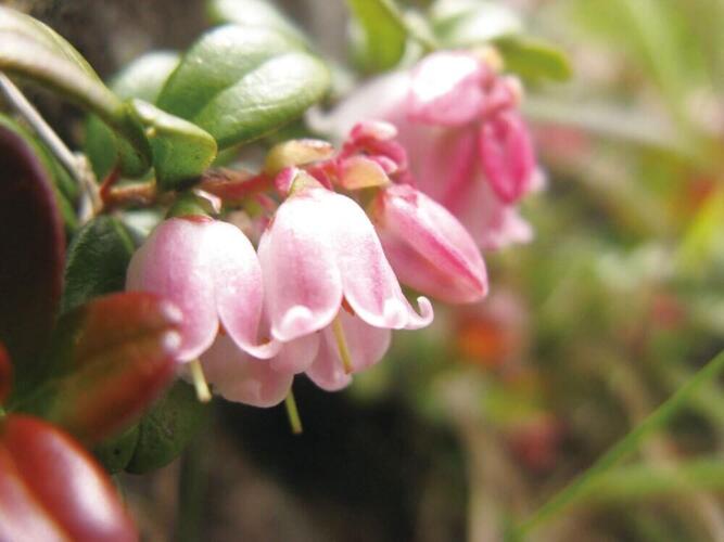 national park_05.jpg