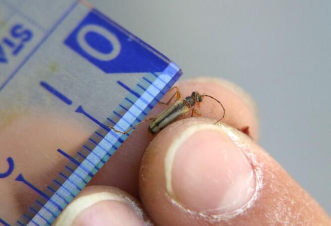 national park_06.jpg