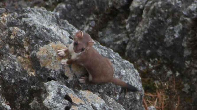 national park_11.jpg