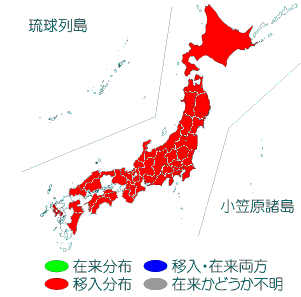 ハクビシンの分布図