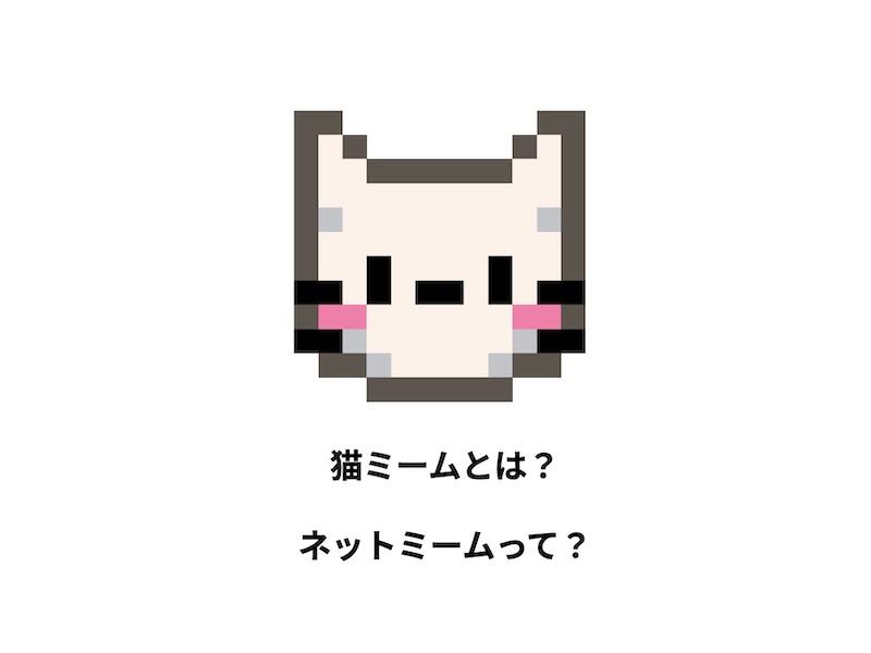 猫ミームとは？ミームは文化の遺伝子⁉