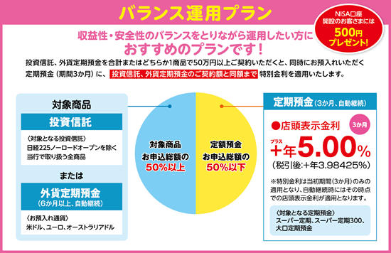 バランス運用プラン