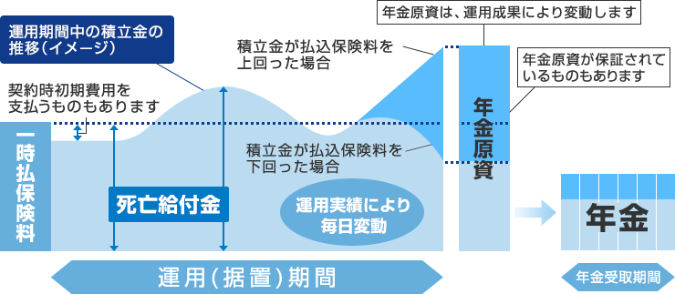 年金 保険 個人