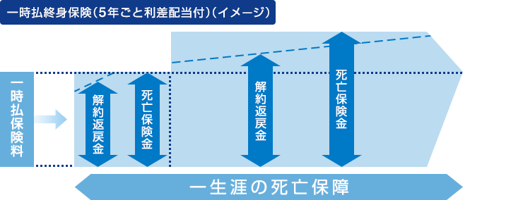 一時払終身保険(5年ごと利差配当付)(イメージ)