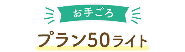 お手ごろプラン50ライト