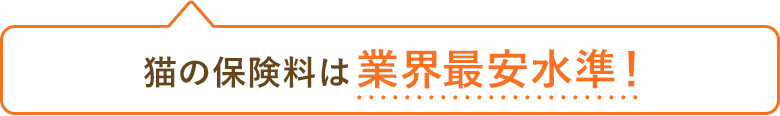 猫の保険料は業界最安水準！