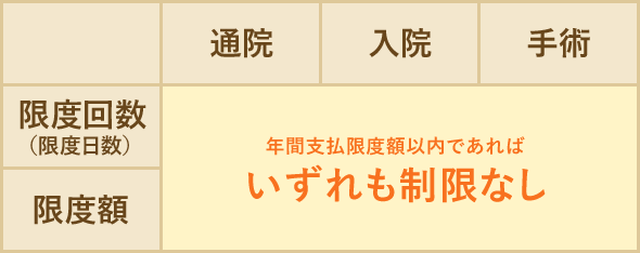 通院　入院　手術　限度回数（限度日数）　限度額　いずれも制限なし
