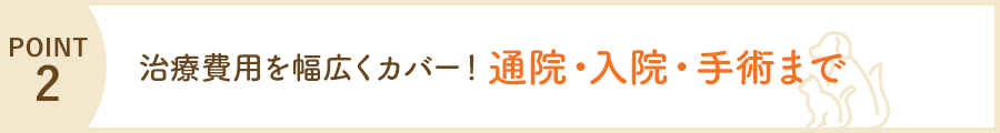 POINT2 治療費用を幅広くカバー！通院・入院・手術まで