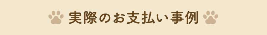 実際のお支払い事例